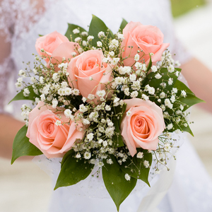 Wedding Gallery